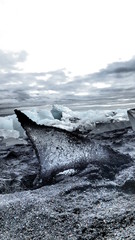 Aileron des glaces