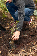 man planting a tree during a reforestation day