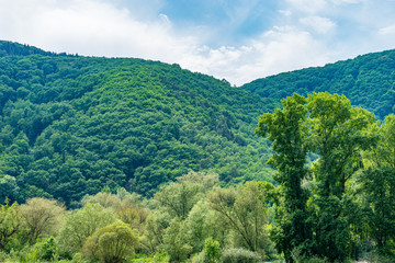 Obraz premium Germany, Rhine Romantic Cruise