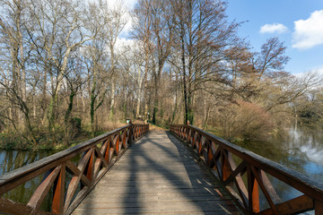 Obraz premium Wooden bridge at the english garden of the famous Brunszvik Pala