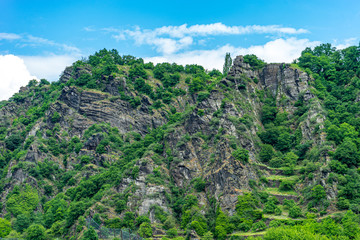 Germany, Rhine Romantic Cruise, a close up of a lush green forest
