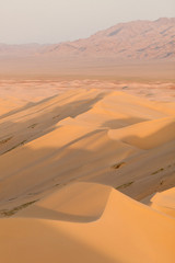 Fototapeta na wymiar Mongolia Gobi desert, Khongor sand dunes at golden hour