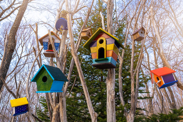 close-up of birdhouses on a tree, bird house