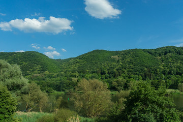 Fototapeta na wymiar Germany, Hiking Frankfurt Outskirts, a close up of a lush green forest