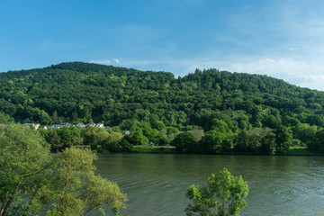 Germany, Hiking Frankfurt Outskirts, a body of water surrounded by trees