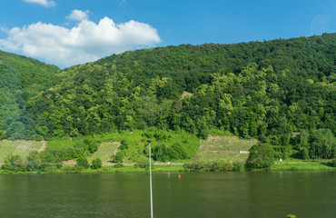 Germany, Hiking Frankfurt Outskirts, a lake surrounded by green trees and a body of water