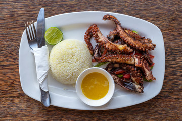 Fried octopus tentacles with white rice on a plate, close up
