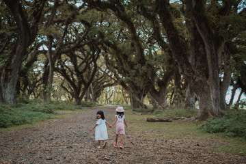 Fototapeta premium two children walk away between a shady tree full of mystery