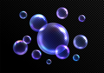Realistic soap bubbles isolated on black transparent background. Vector illustration