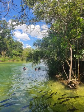 River in municipal bathing Bonito MS Brazil