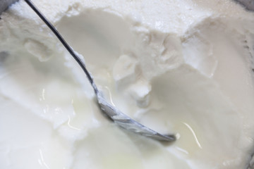 Mongolia traditional dairy food yogurt
