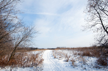 Snow path