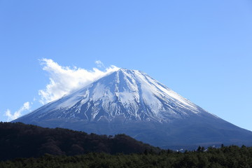 Fototapeta premium Mount Fuji and Lake Saiko in Japan