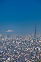Naklejka premium 東京スカイツリーと富士山