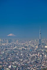 Fotobehang 東京スカイツリーと富士山 © funbox