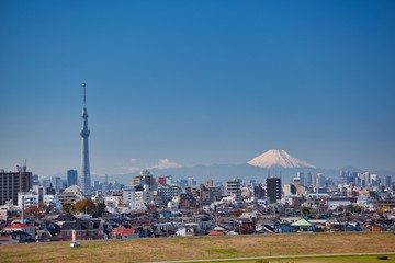 東京スカイツリーと富士山