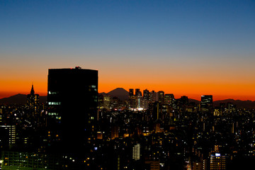 Sunset View of Cityscape of Tokyo and Mt. Fuji