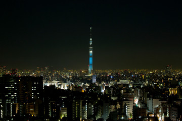 Fototapeta na wymiar Tokyo Skytree at night in Tokyo Japan