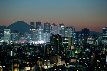 Fototapeta na wymiar Sunset View of Cityscape of Tokyo and Mt. Fuji