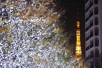Christmas Illumination in Tokyo from Roppongi Hills 