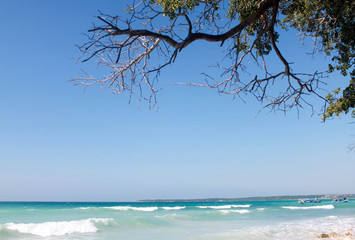 Playa Blanca en la isla de Baru, con sombra de arboles.