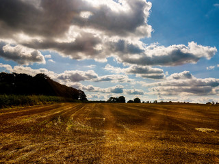 Harvested field in North Yorkshire near Ripon United Kingdom