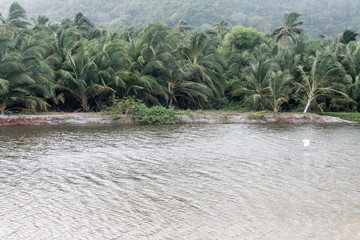Rio Tayro a puertas de entrar al mar.