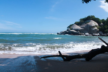 Árbol muerto en la playa de Cabo San Juan.