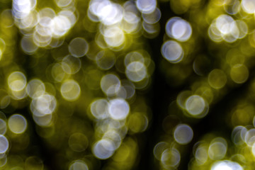 Bokeh with color variations between white, green, yellow and black