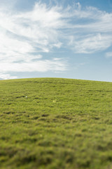 Background with view of empty golf