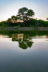 Atardecer al Costado de Laguna en el campo