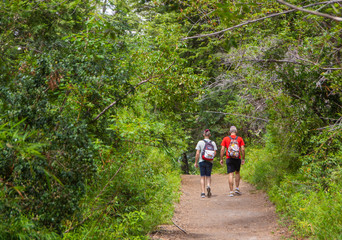Pareja paseando en el Parque Municipal Llao Llao en Bariloche, Argentina