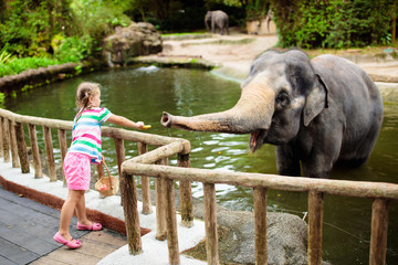 Kids feed elephant in zoo. Family at animal park.