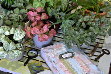 Still life with book diary, plants and old vintage objects.