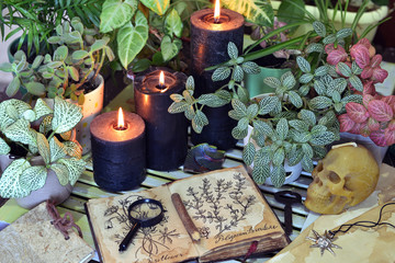 Still life with black candles, witch book with herbal drawings and skull.