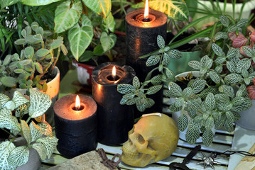 Three black candles with skull and witch herbs.