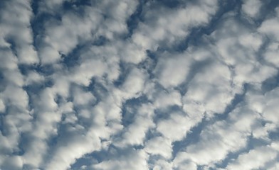 Cumulus clouds in the sky, natural background 