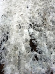 Lots of more footprints in snow