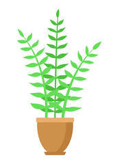 Fototapeta na wymiar ZZ plant. Potted plant. Flat design. Isolated on a white background. Vector illustration.