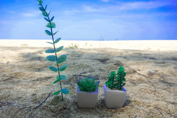 A fake tree in the sand behind the sea and blue sky