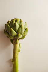 Fototapeta premium artichoke on white background