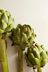 Obraz premium artichoke on white background