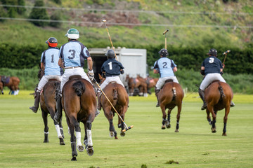 Polo players on the field from the back