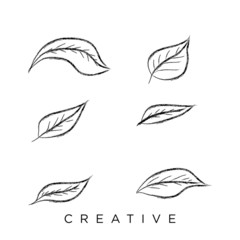 leaf icon set