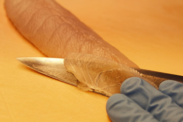 ふぐ刺しを引いているところ