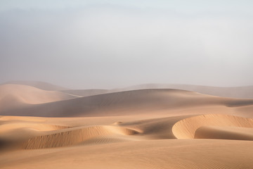 Fototapeta na wymiar Massive sand dune emerging from a dense fog cloud. Liwa desert, Abu Dhabi, United Arab Emirates.