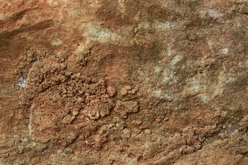 Natural stone background moss stains moss