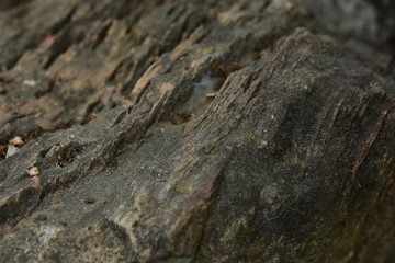 Natural stone background moss stains moss