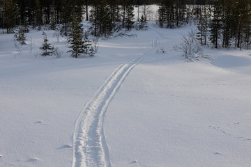 Snowy landscape with traces of the snowmobile, winter in the forest