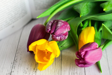 bouquet of tulips with unopened buds on a light background